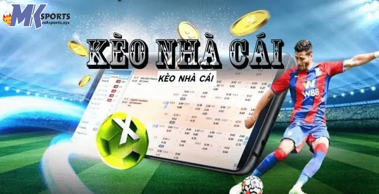 Khái niệm về soi kèo nhà cái tại MKsports