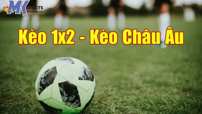 Khái niệm về kèo cá cược Châu Âu tại MKsports