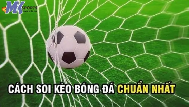 Giới thiệu về cách soi kèo nhà cái hôm nay MKsports