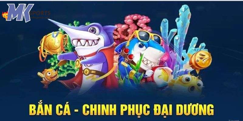 Những lưu ý quan trọng khi sử dụng hack bắn cá